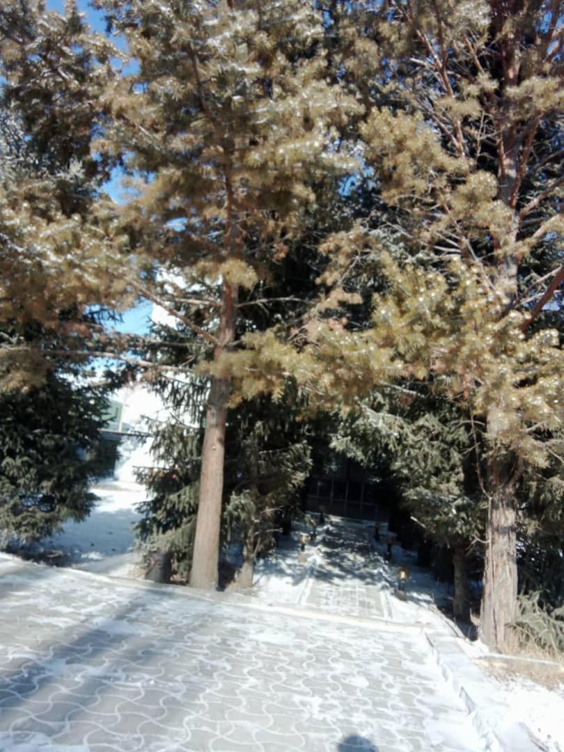 Отель Aska Naryn Экстерьер фото